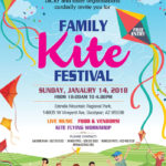 Family-Kite-FestivalF